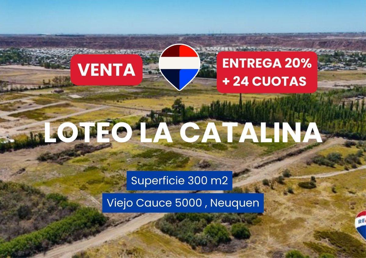 Foto de VENTA TERRENO EN LOTEO LA CATALINA NEUQUEN, imagen 3