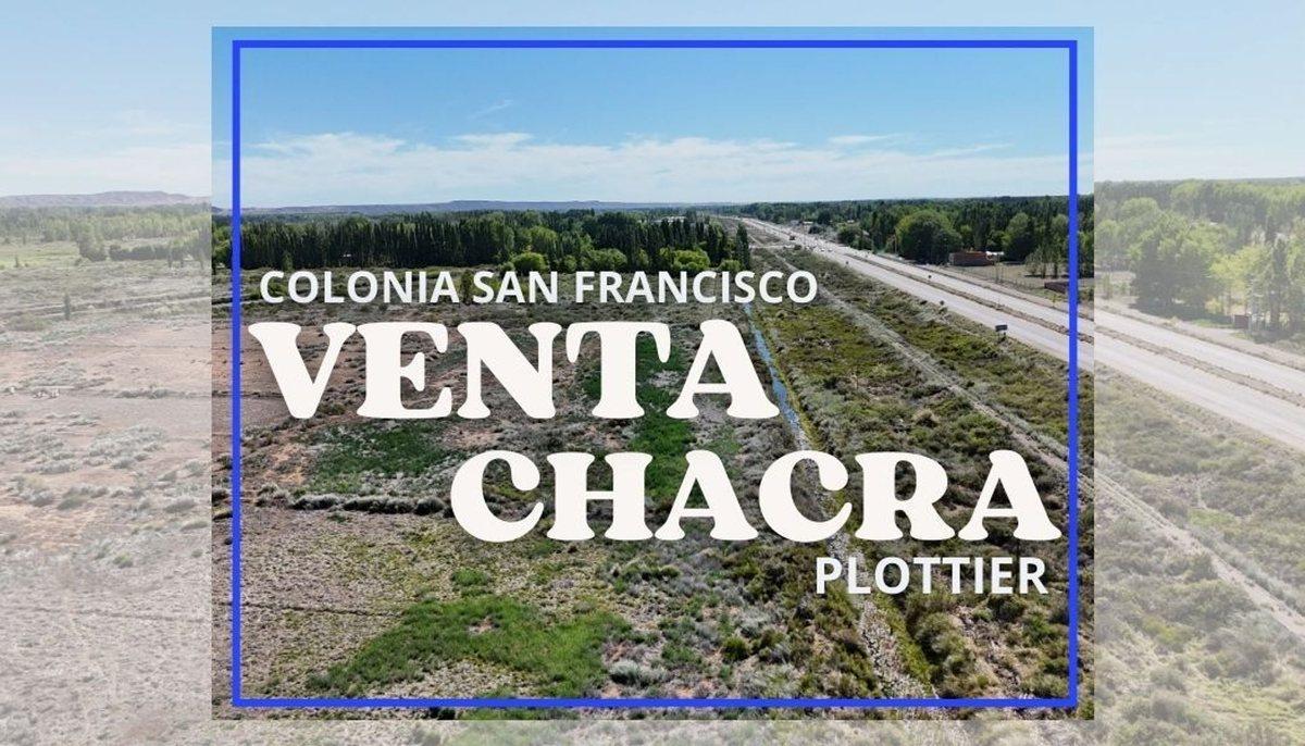 Foto de VENTA CHACRA EN COLONIA SAN FRANCISCO PLOTTIER, imagen 1