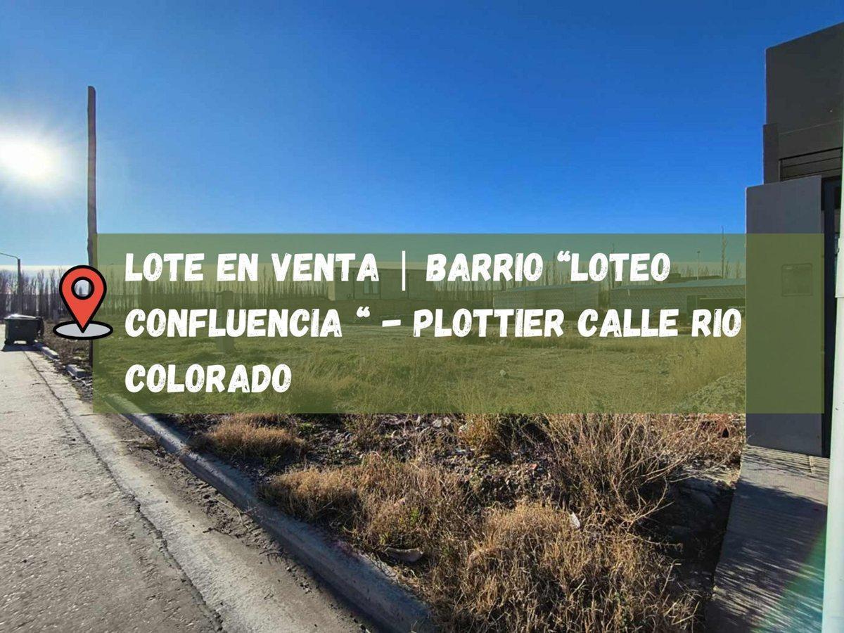 Foto de VENTA LOTE SUBDIVIDIBLE EN PLOTTIER, imagen 1