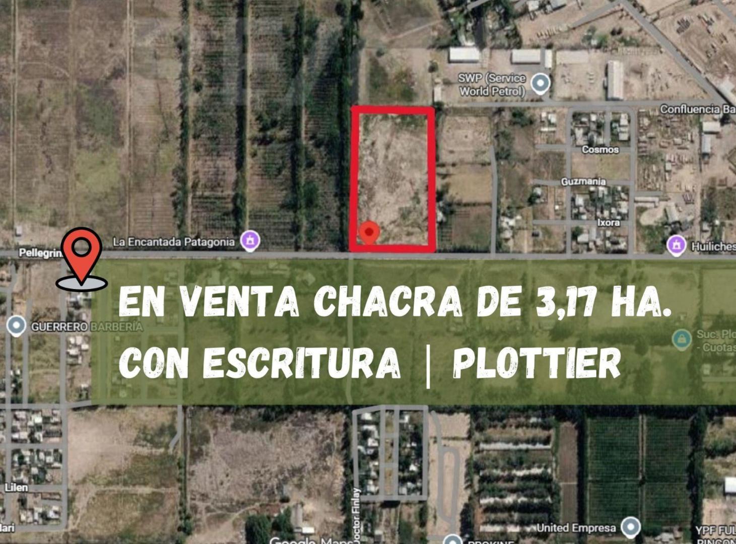 Foto de VENTA CHACRA DE TRES HECTAREAS EN PLOTTIER, NEUQUE, imagen 2