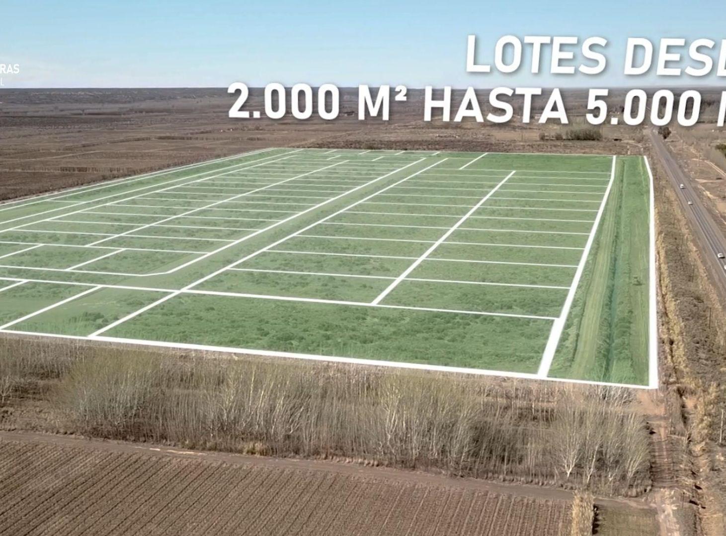 Foto de NODO LAS CORTADERAS | LOTES DESARROLLO COMERCIAL, imagen 4