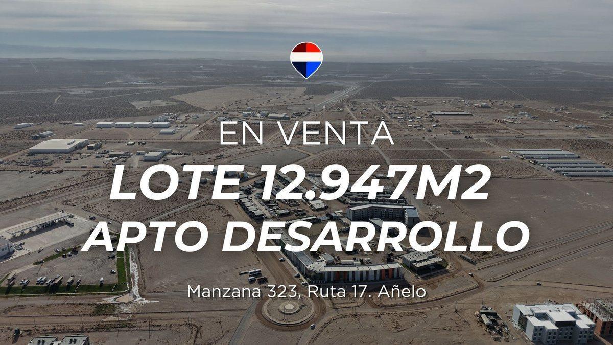Foto de LOTE 12947m² APTO DESARROLLO | SOBRE RUTA 17 AÑELO, imagen 4