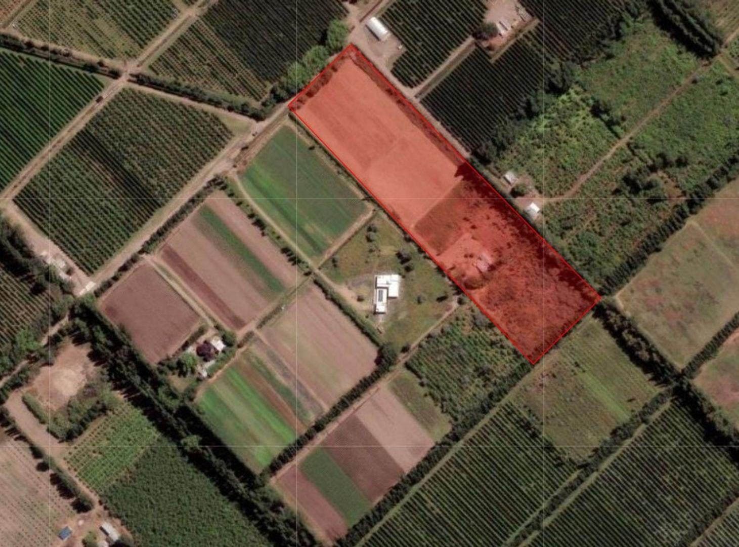 Foto de VENTA CHACRA 3,1 HECTAREAS EN VISTA ALEGRE SUR, imagen 1