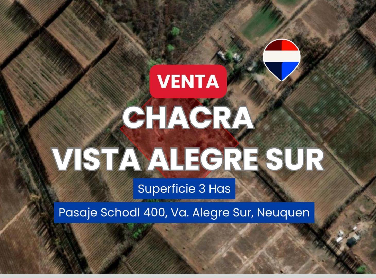 Foto de VENTA CHACRA 3 HAS VISTA ALEGRE SUR, imagen 4