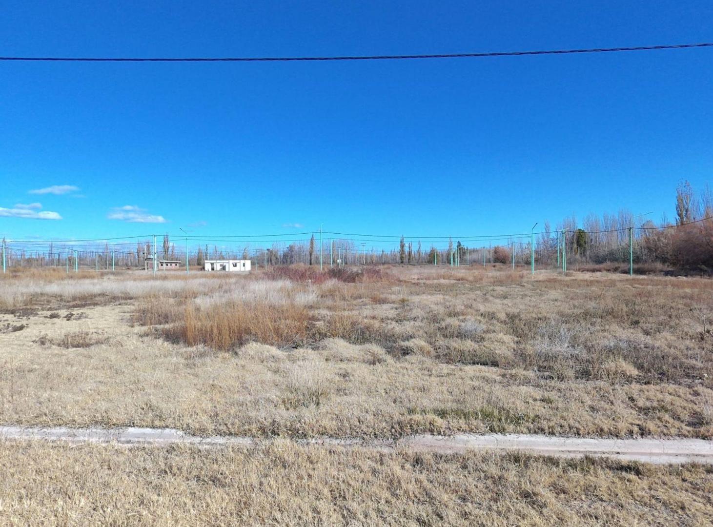 Foto de VENTA LOTE - CINCO SALTOS RIO NEGRO, imagen 3