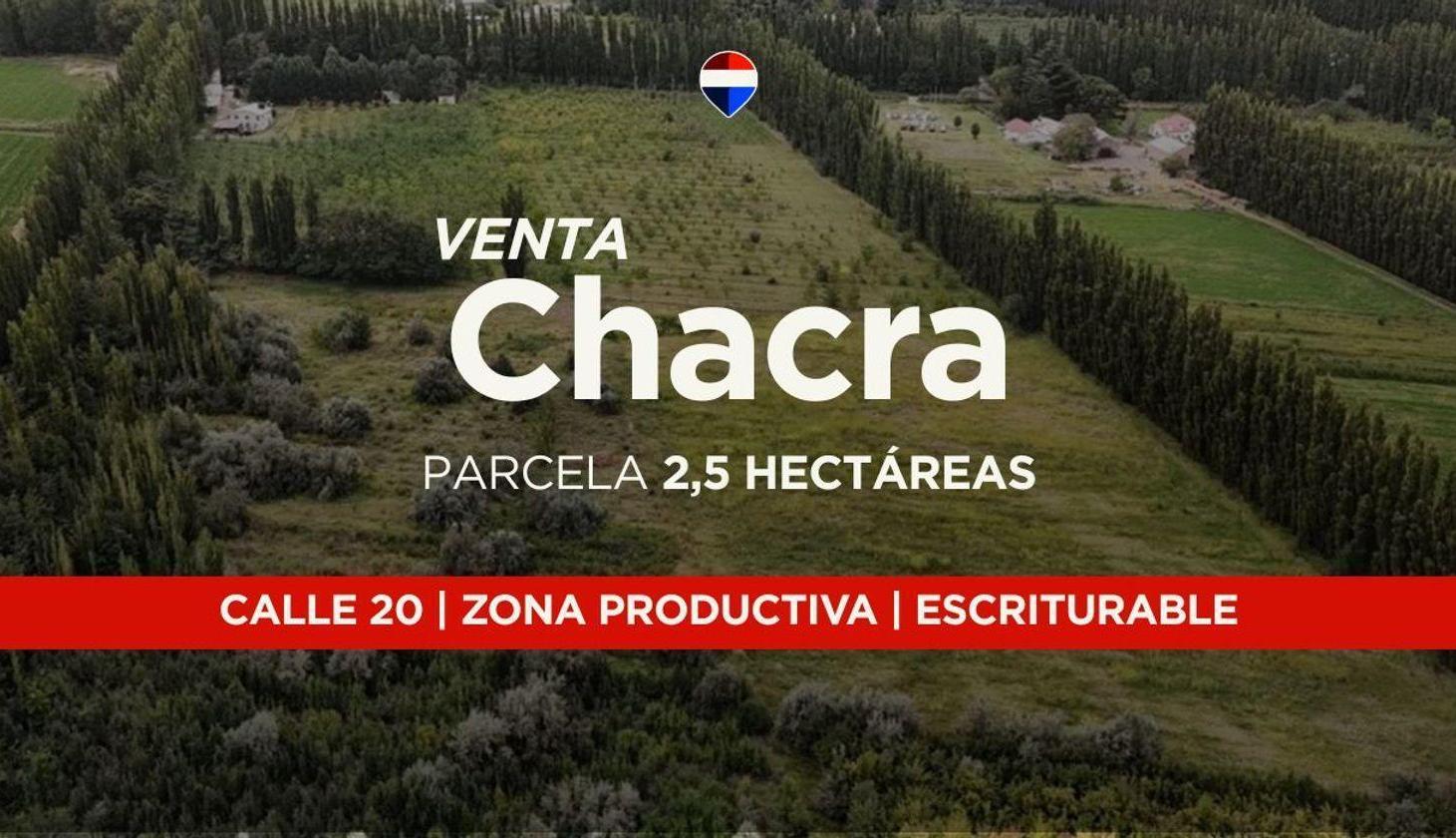 Foto de VENTA CHACRA 2,5HAS, CALLE 20 CENTENARIO - NEUQUÉN, imagen 2