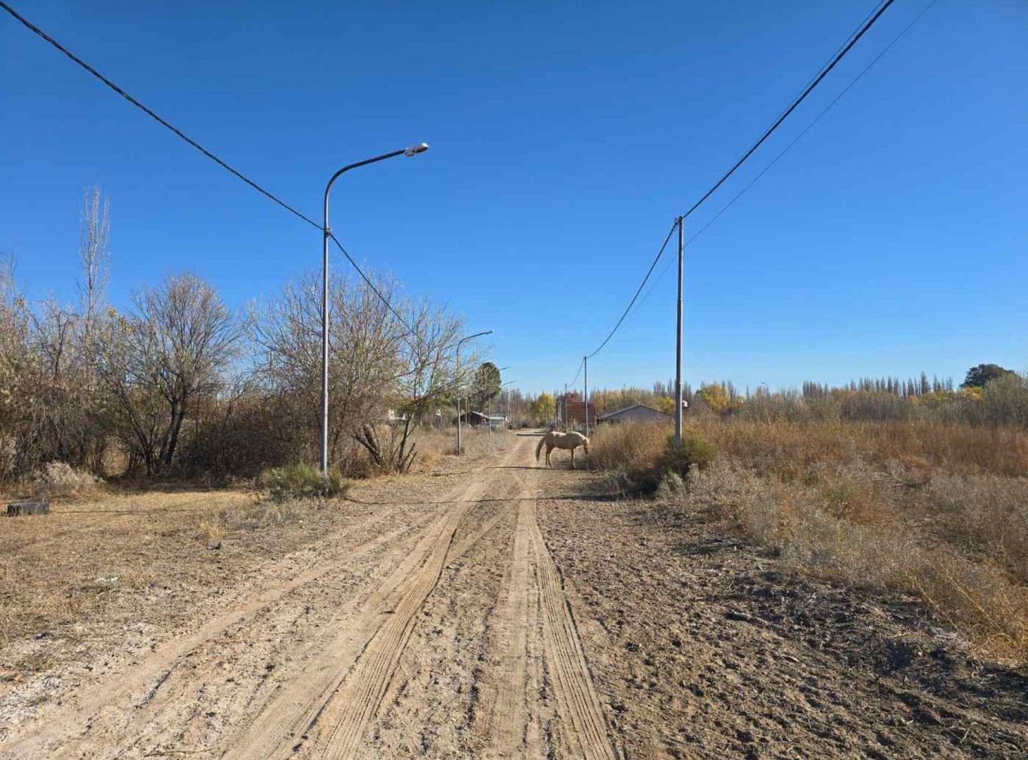 Foto de VENTA LOTE BARRIO PRESIDENTE PERON, imagen 4