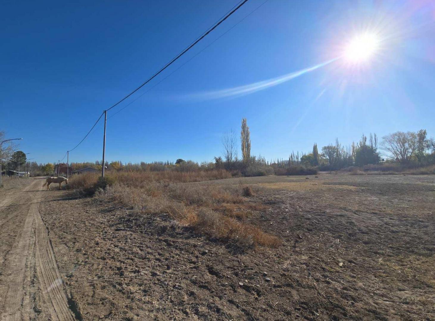 Foto de VENTA LOTE BARRIO PRESIDENTE PERON, imagen 2