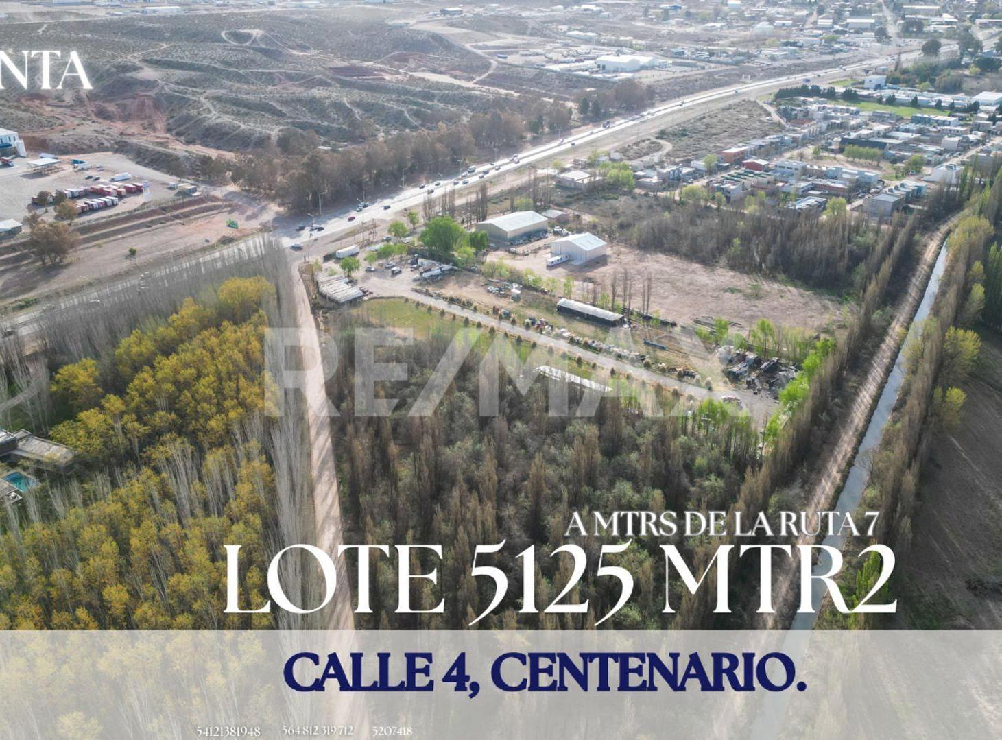 Foto de LOTE 5125 MTR2 EN VENTA EN CALLE 4, CENTENARIO, imagen 2
