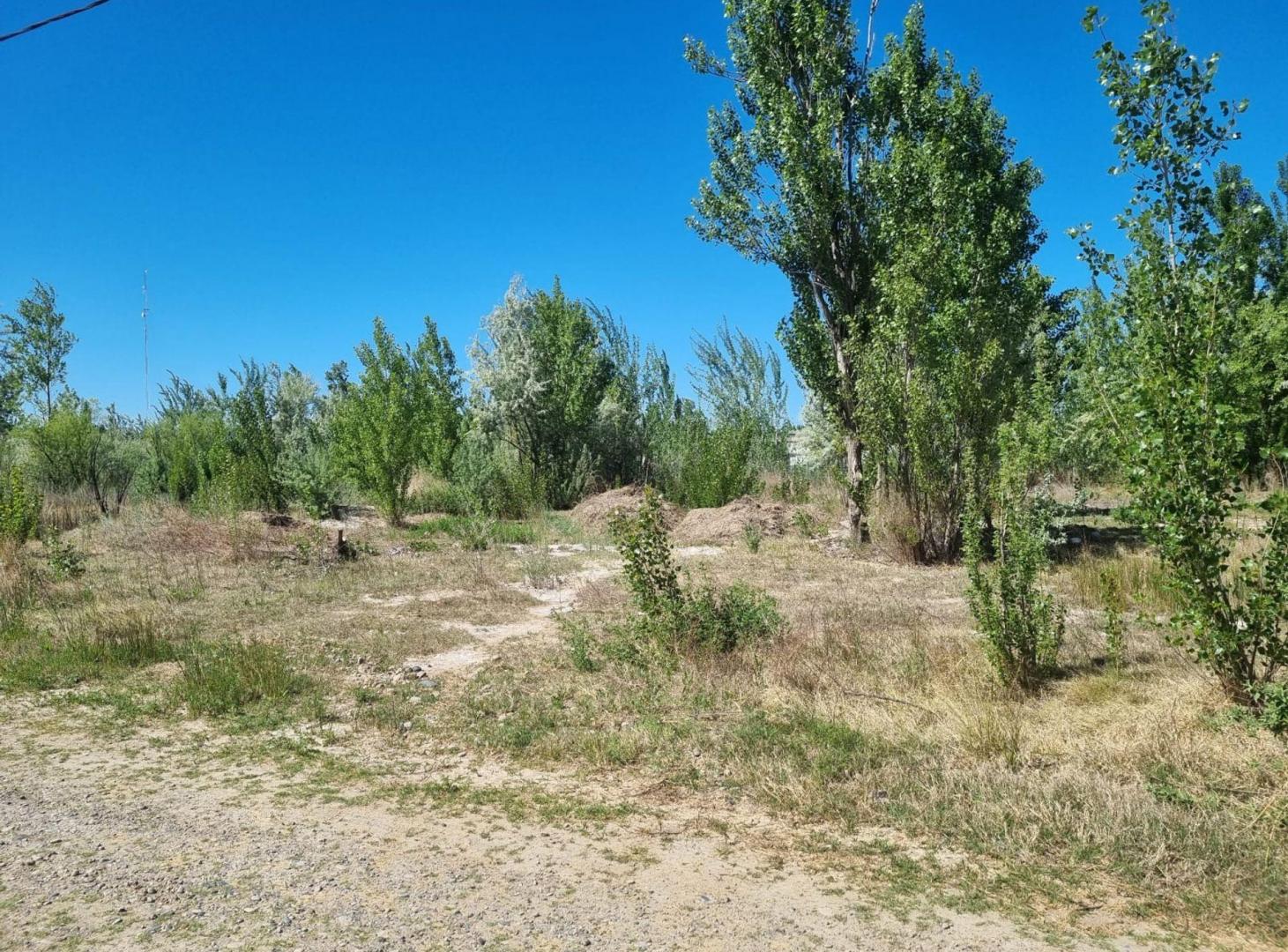 Foto de VENTA LOTE RINCON DE LOS PATOS 1000 M2, imagen 2