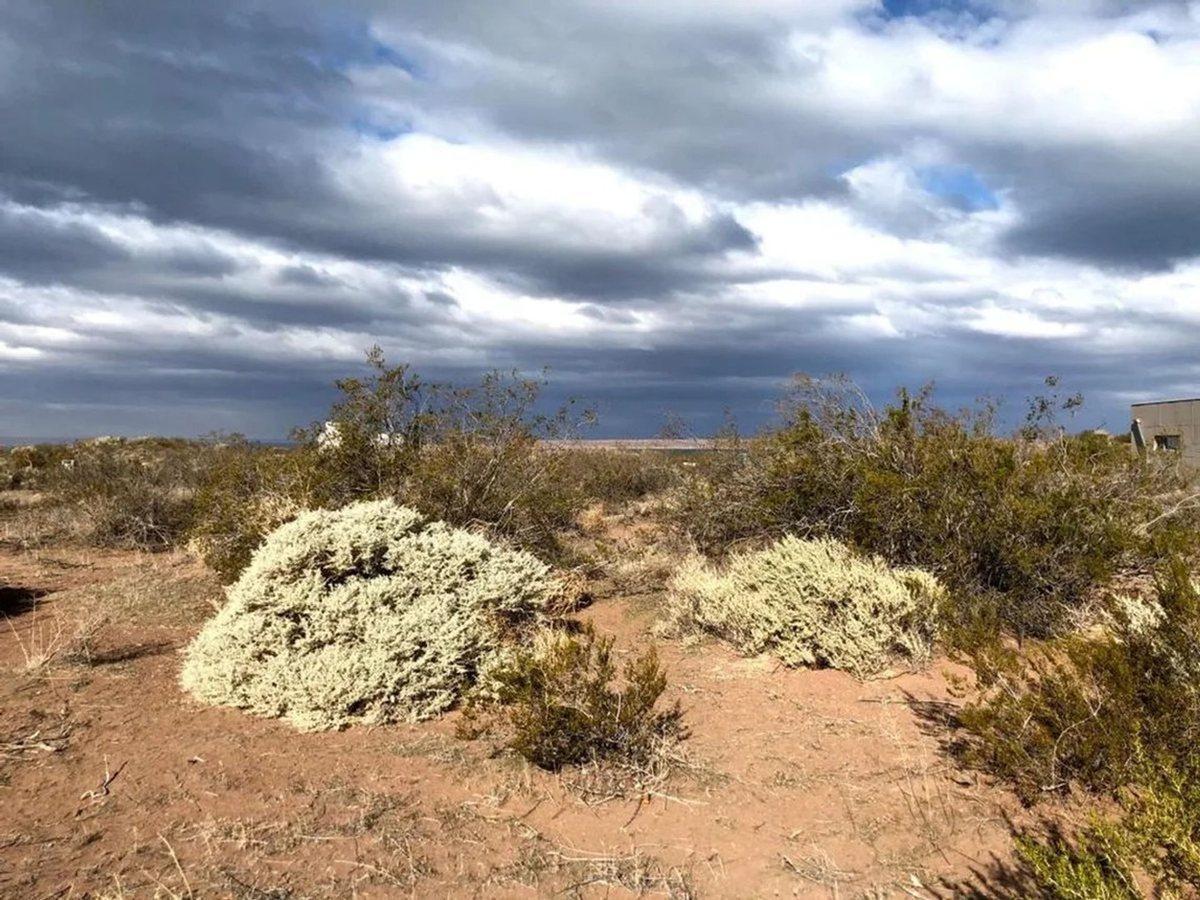 Foto de VENTA LOTE CHOCON MEDIO ETAPA PRADERAS, imagen 2