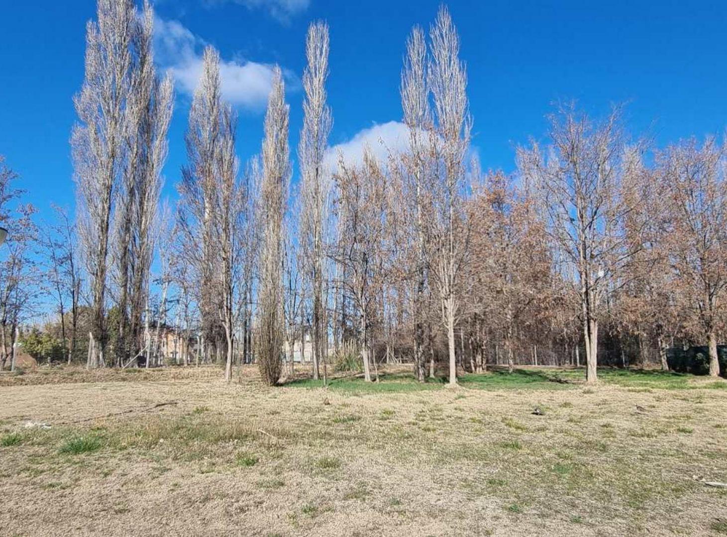 Foto de Venta Terreno Barrio Cerrado Cardinal Sur, imagen 3
