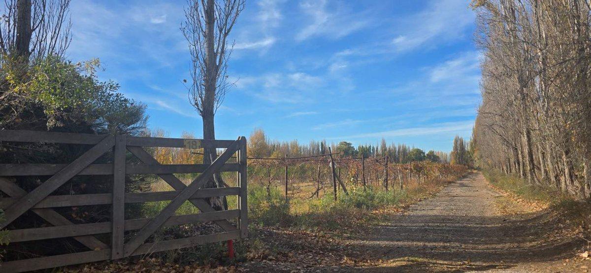 Foto de VENTA CHACRA VISTA ALEGRE SUR, imagen 1
