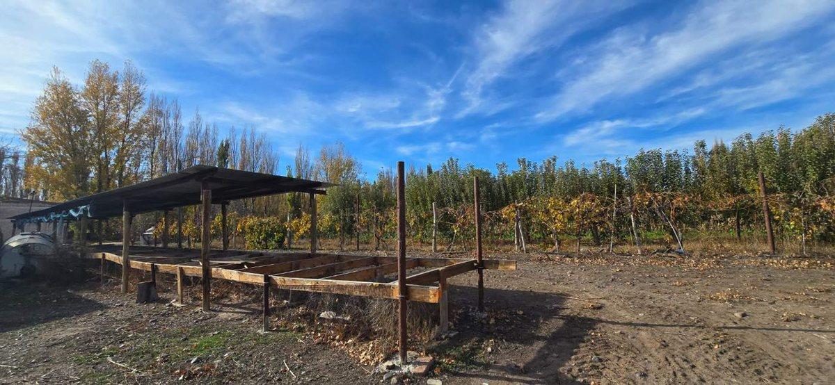 Foto de VENTA CHACRA VISTA ALEGRE SUR, imagen 5