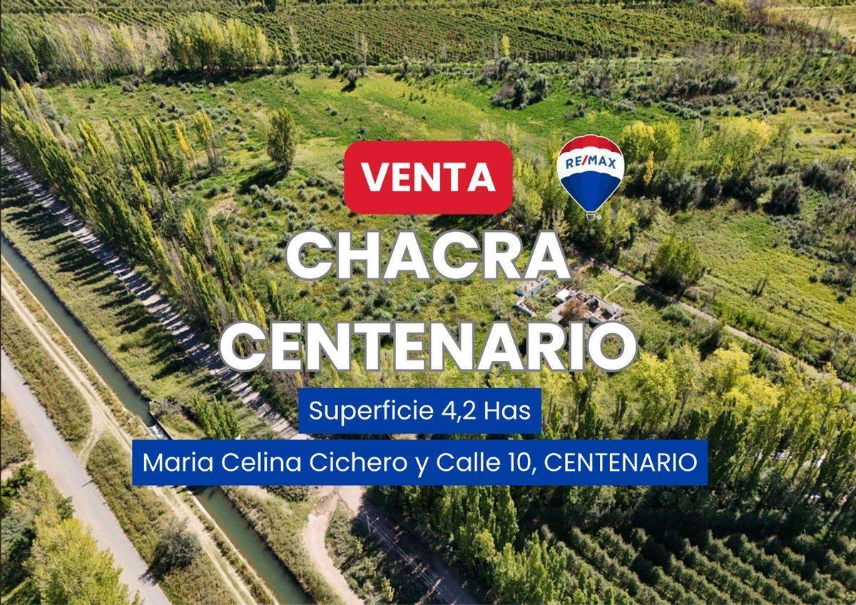 Foto de VENTA CHACRA 4,2 HAS CENTENARIO, imagen 1