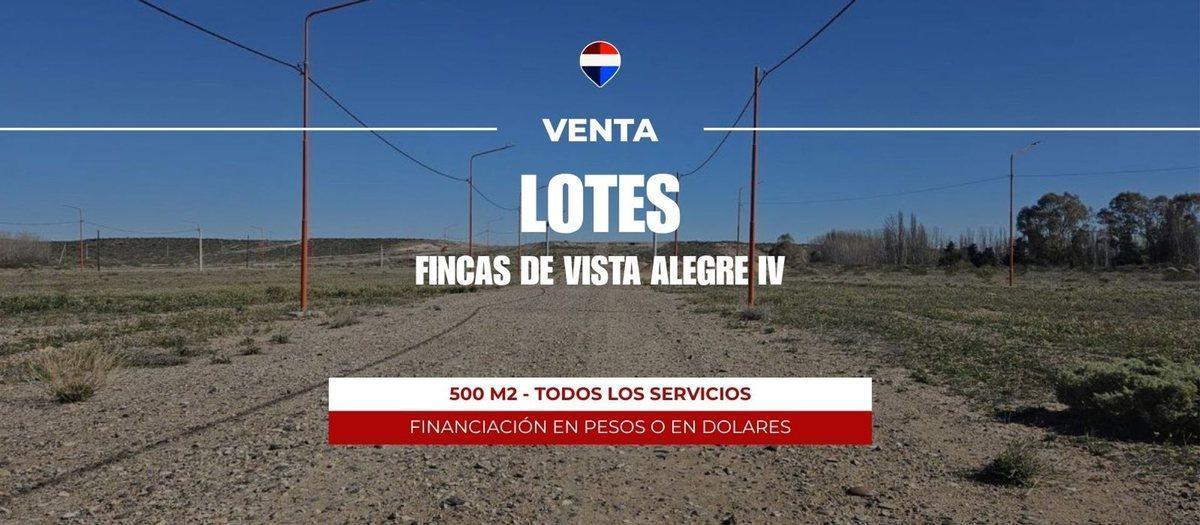 Foto de VENTA TERRENO 261 M2 FRENTE RUTA | VISTA ALEGRE, imagen 4