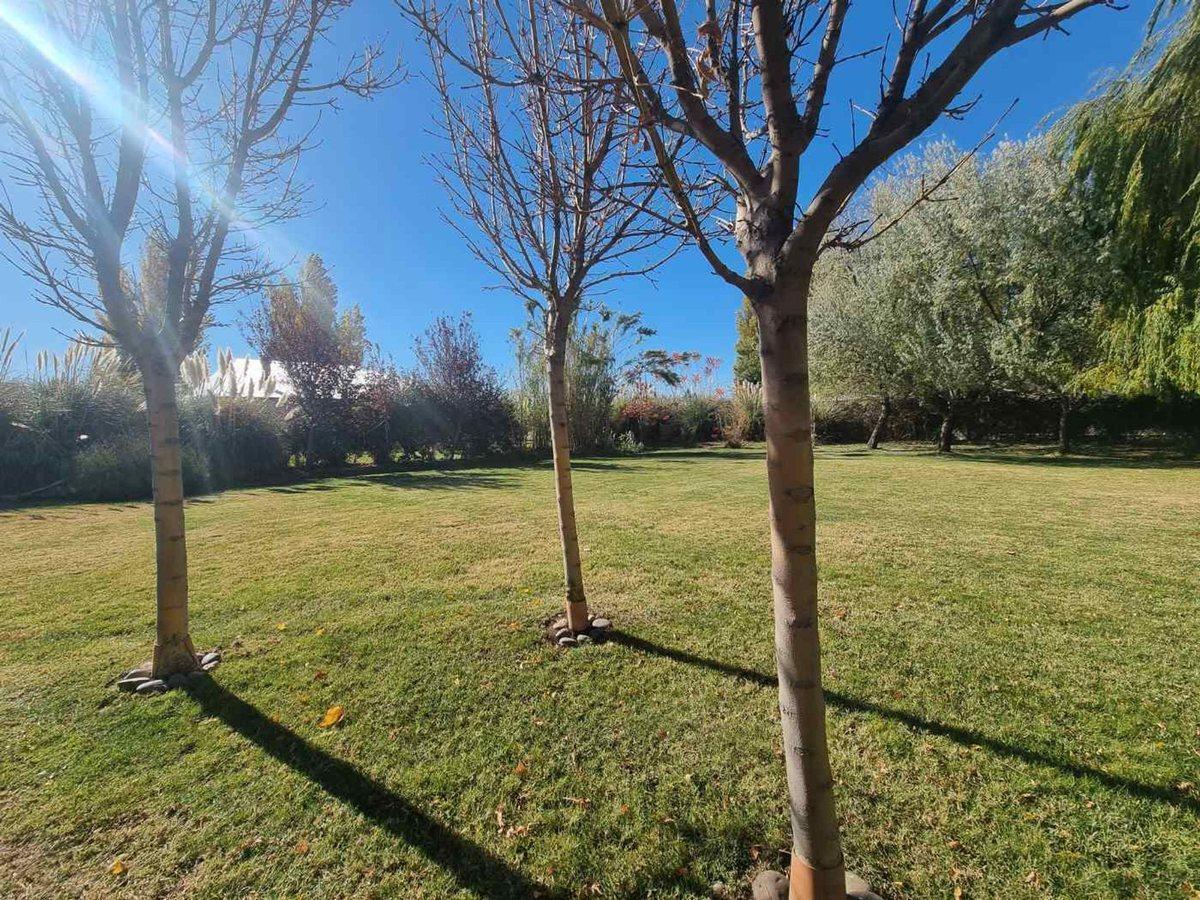 Foto de VENTA TERRENO BARRIO PRIVADO SAUCES DEL LIMAY, imagen 4