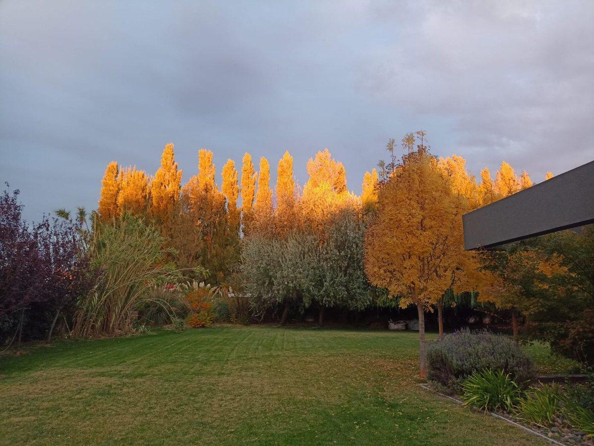 Foto de VENTA TERRENO BARRIO PRIVADO SAUCES DEL LIMAY, imagen 3