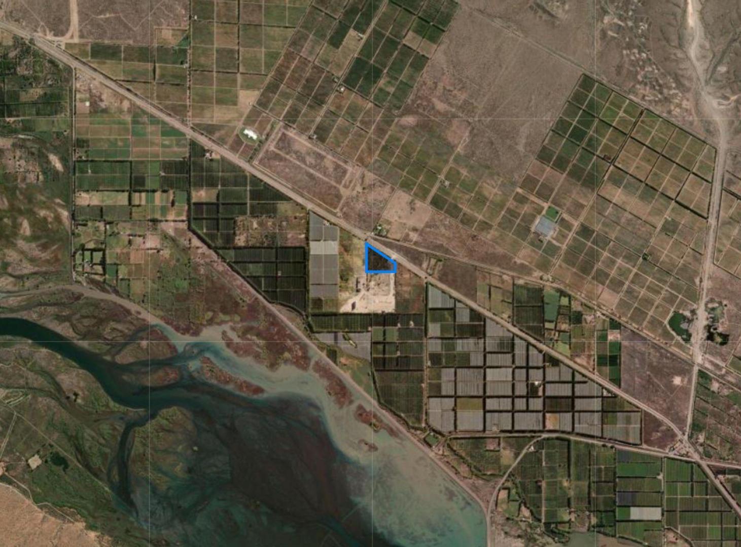 Foto de VENTA LOTE 4.43 HAS EN CHAÑAR FRENTE RUTA 7, imagen 2