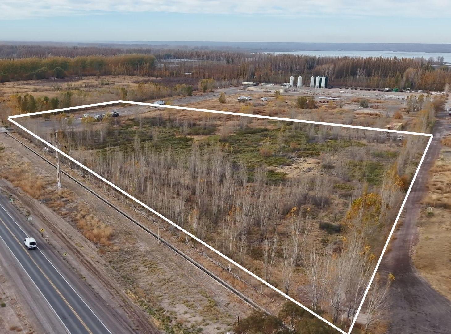 Foto de VENTA LOTE 4.43 HAS EN CHAÑAR FRENTE RUTA 7, imagen 5