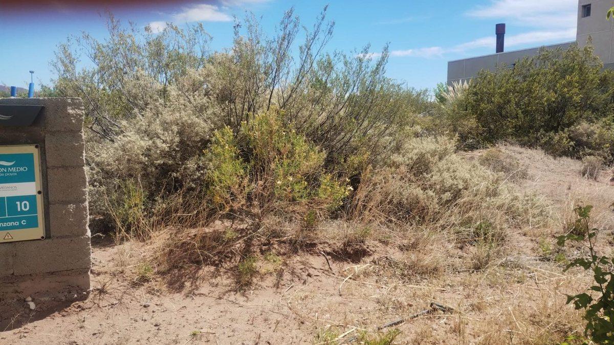 Foto de VENTA LOTE CHOCON MEDIO ETAPA MEDANOS, imagen 5