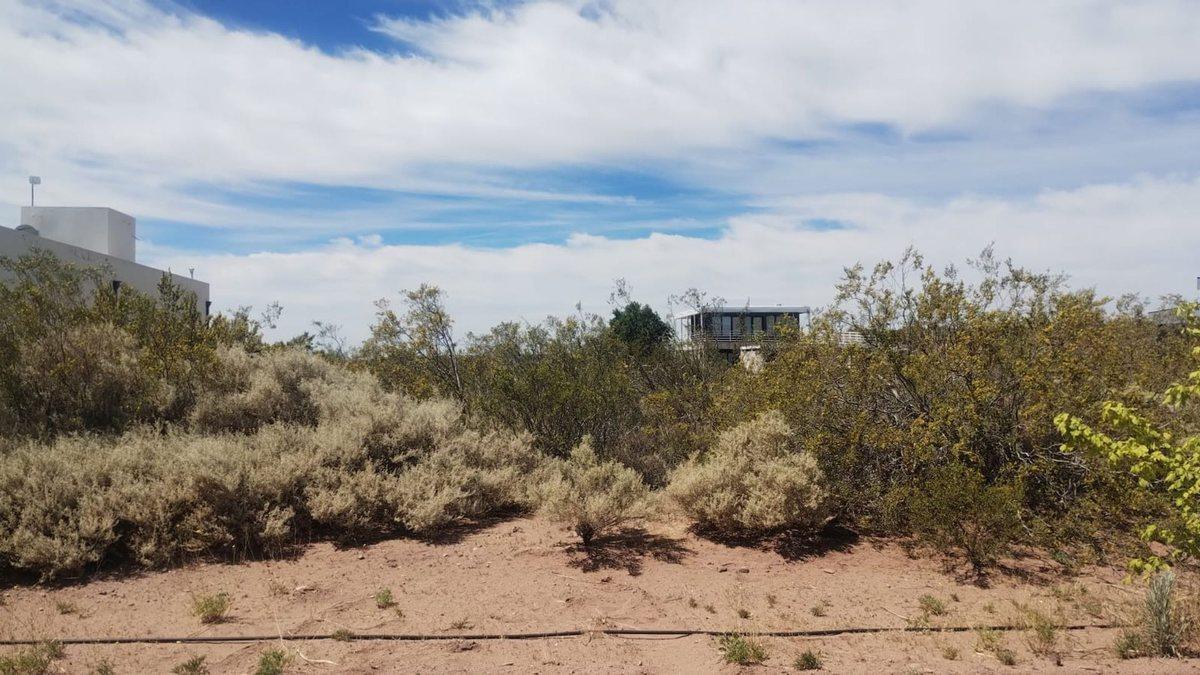 Foto de VENTA LOTE CHOCON MEDIO ETAPA MEDANOS, imagen 4