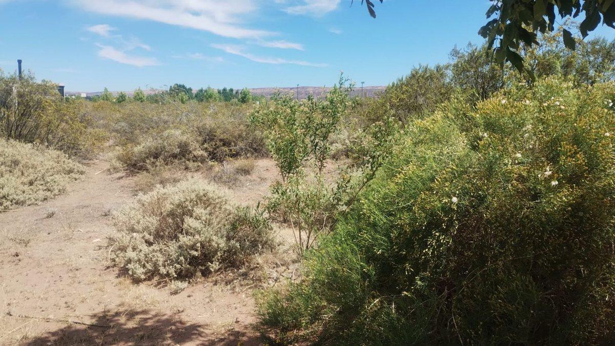 Foto de VENTA LOTE CHOCON MEDIO ETAPA MEDANOS, imagen 2