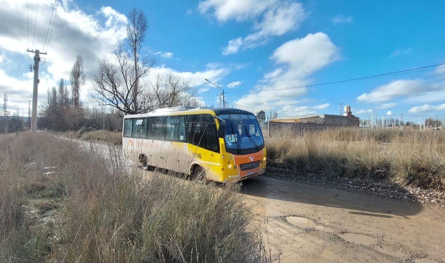 Foto de VENTA CHACRA 4 HECTÁREAS - PLOTTIER, imagen 3