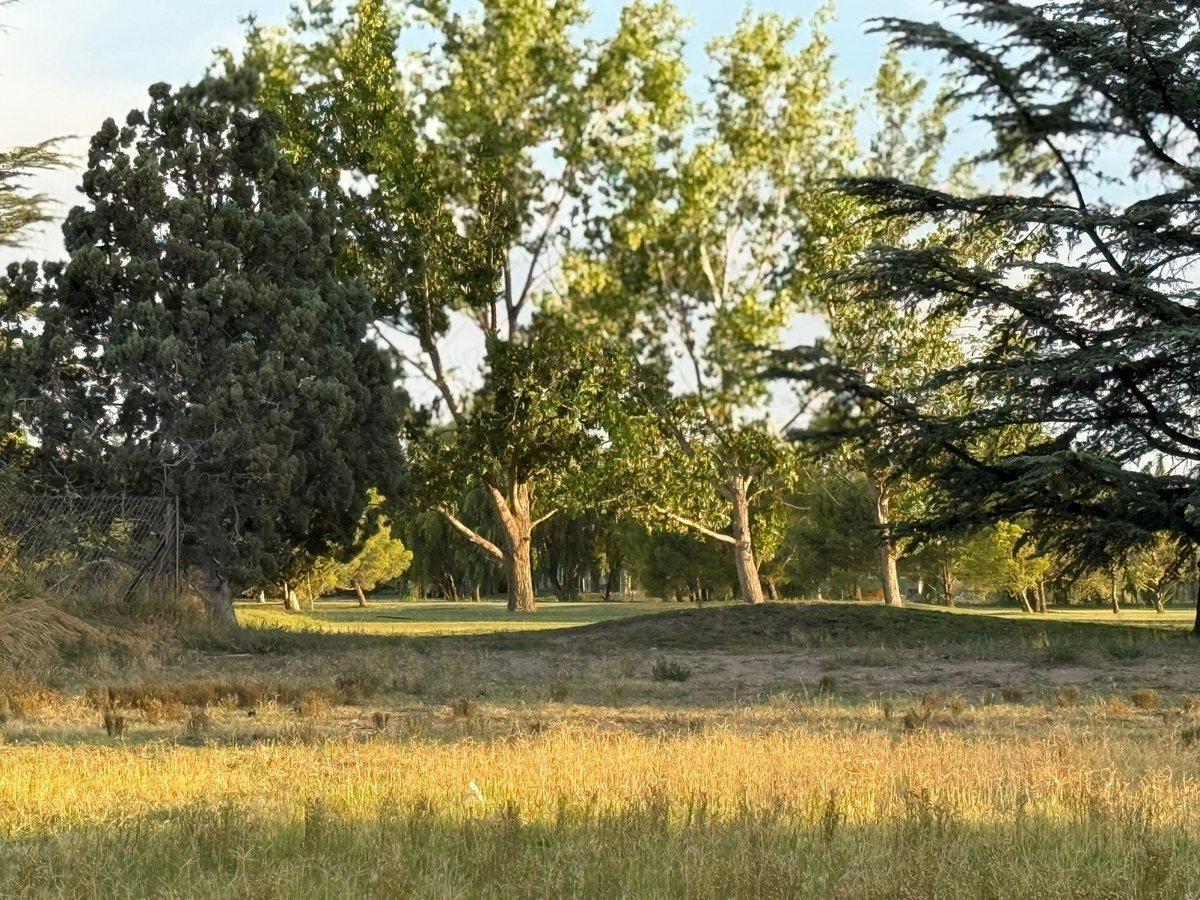 Foto de VENTA LOTE 805 M2, BARRIO COMAHUE GOLF, NEUQUÉN, imagen 5