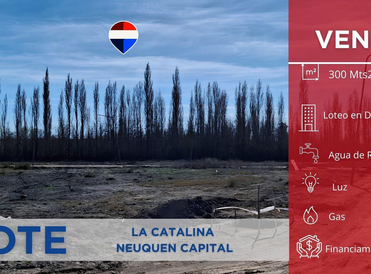 Foto de VENTA TERRENO EN LOTEO LA CATALINA NEUQUEN, imagen 1