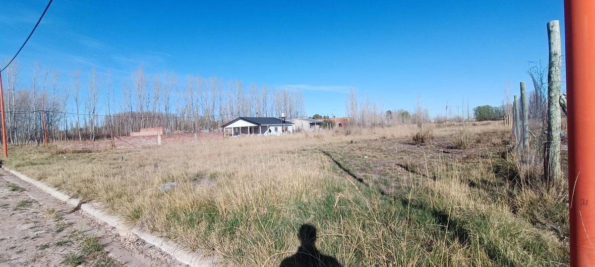 Foto de VENTA LOTE FERNANDEZ ORO 556M2, imagen 3