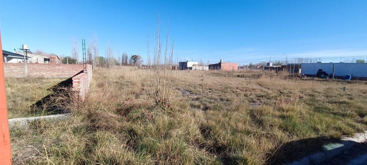 Foto de VENTA LOTE FERNANDEZ ORO 556M2, imagen 4