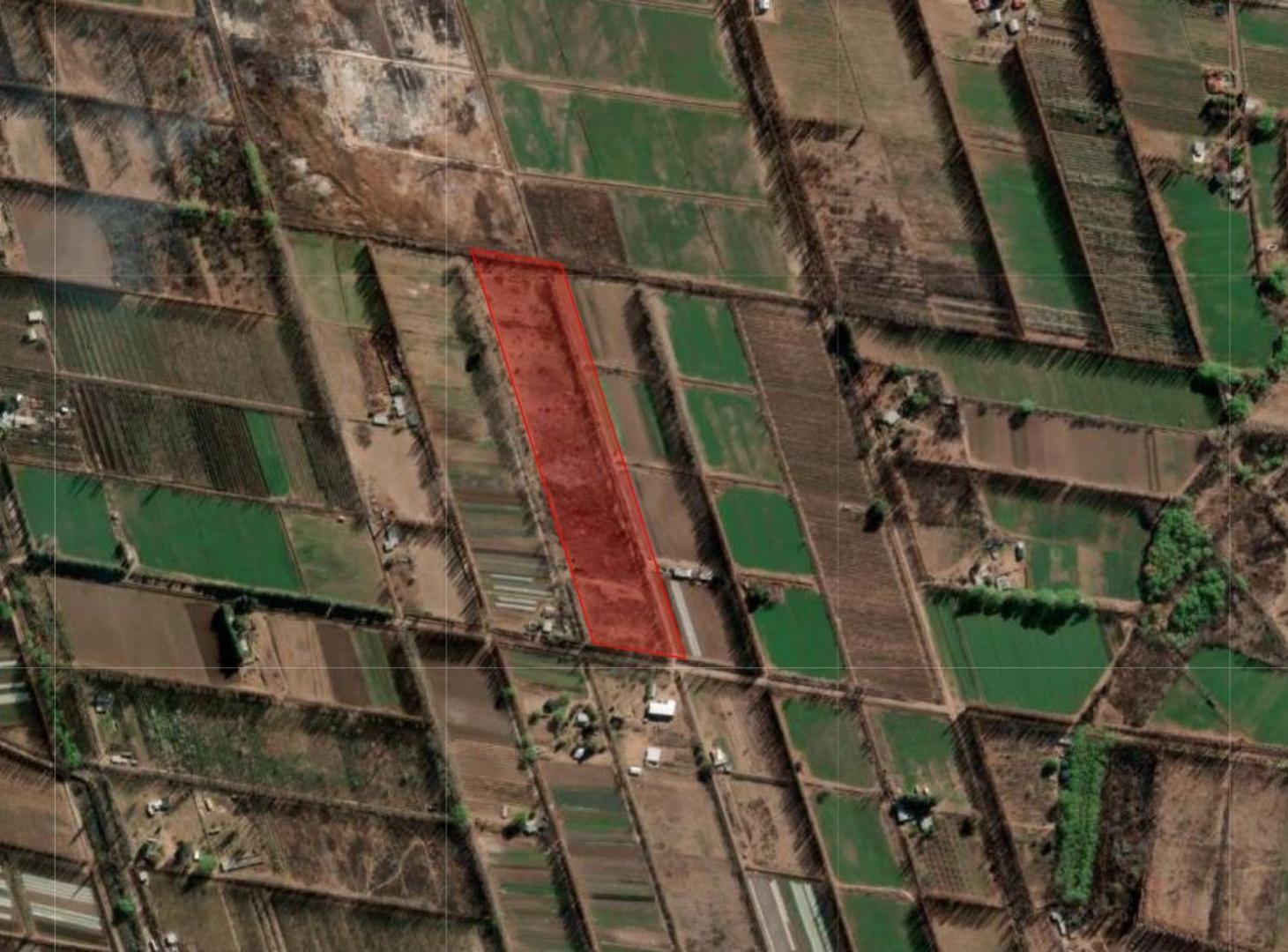 Foto de CHACRA DE 5.6HAS EN CENTENARIO – LOTE AGRICOLA, imagen 3