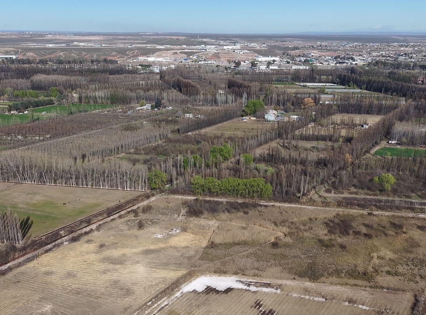 Foto de CHACRA DE 5.6HAS EN CENTENARIO – LOTE AGRICOLA, imagen 5