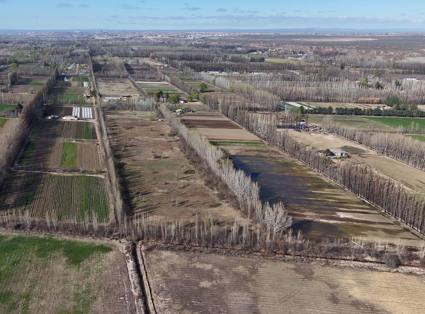 Foto de CHACRA DE 5.6HAS EN CENTENARIO – LOTE AGRICOLA, imagen 1