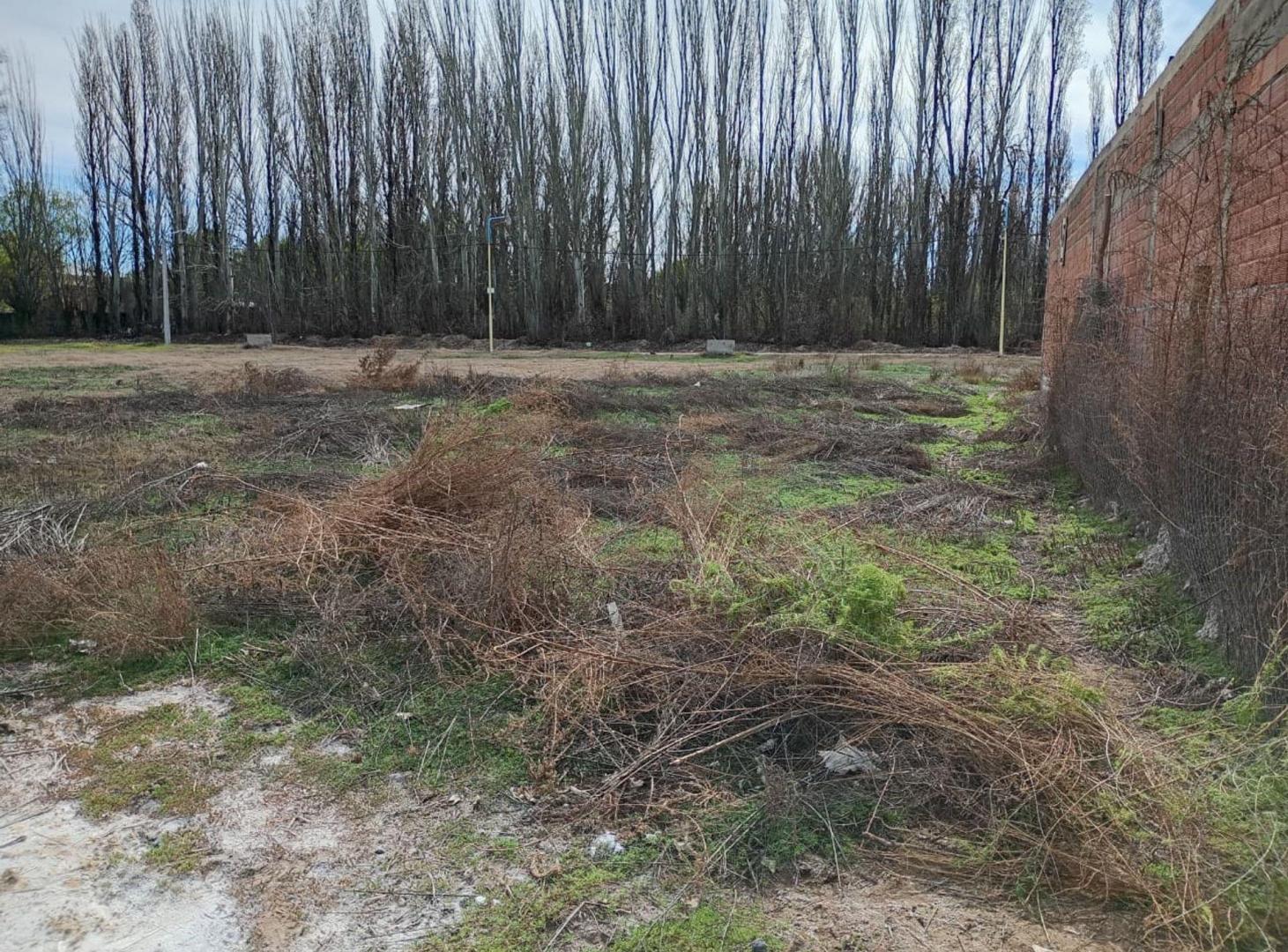Foto de VENTA LOTE EN LOTEO LOBRECICH, imagen 5
