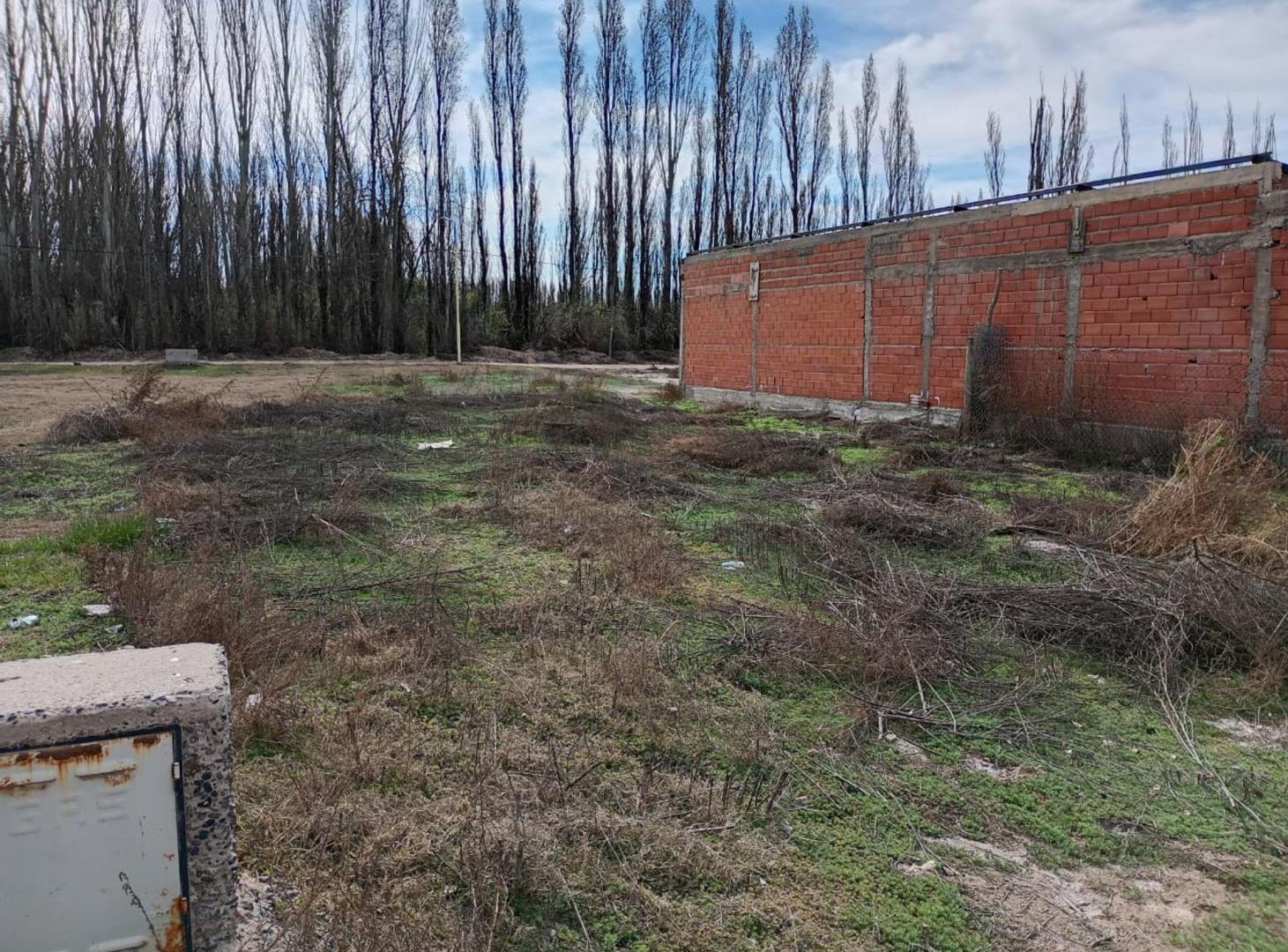 Foto de VENTA LOTE EN LOTEO LOBRECICH, imagen 1