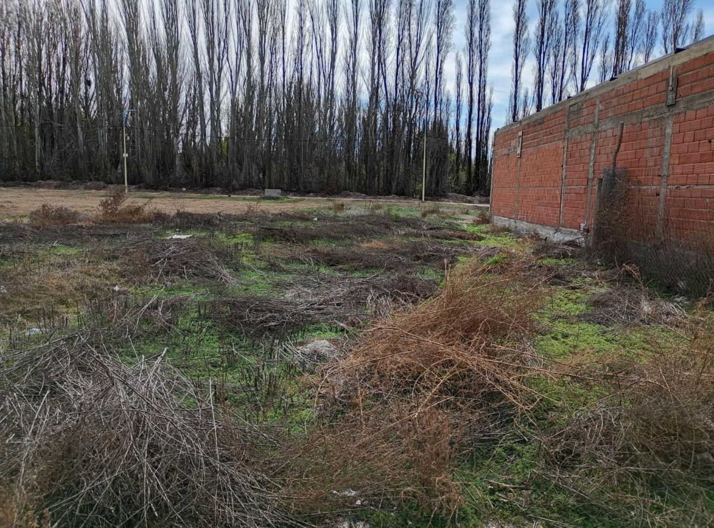 Foto de VENTA LOTE EN LOTEO LOBRECICH, imagen 3