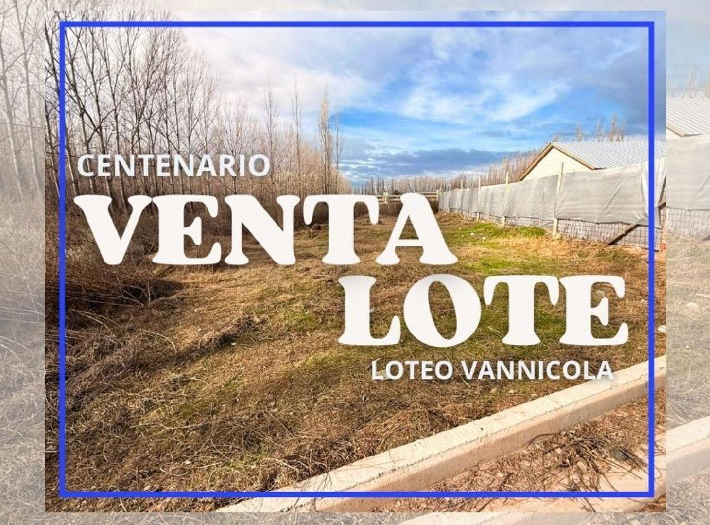 Foto de VENTA LOTE CENTENARIO, NEUQUEN, imagen 1