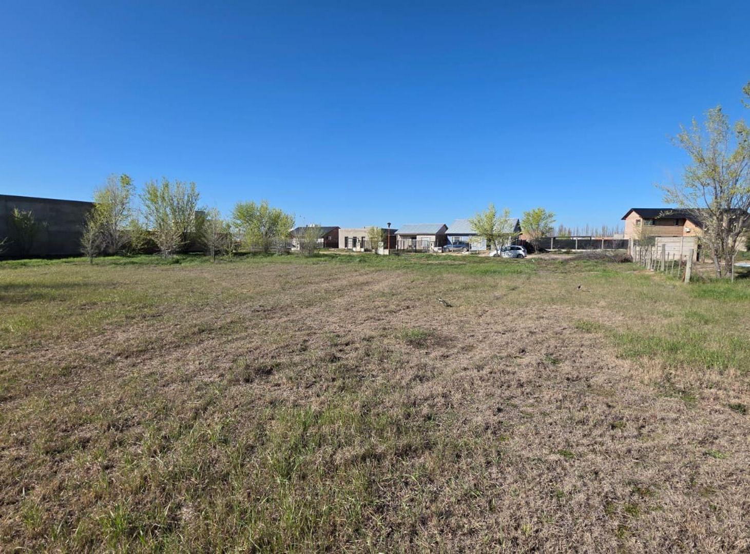 Foto de LOTE EN VENTA FERNANDEZ ORO PIEDRAS BLANCAS, imagen 3