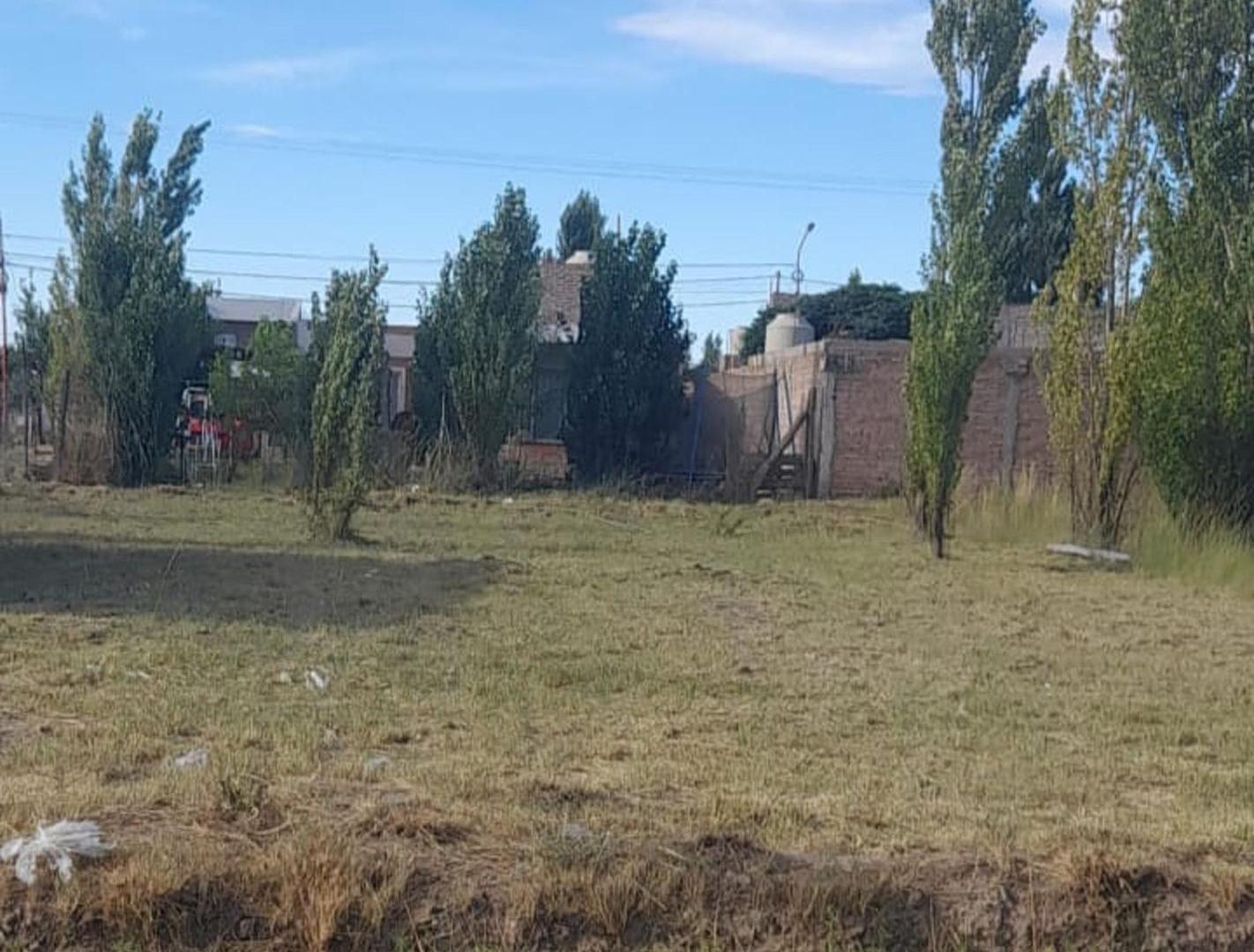 Foto de VENTA TERRENO 367,5MTS / F.ORO, imagen 1