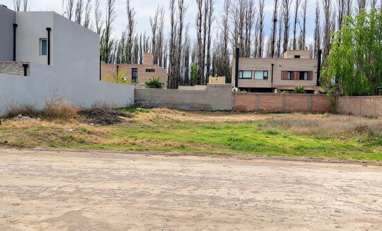 Foto de VENTA LOTE RINCON DEL VALLE, CENTENARIO, imagen 1