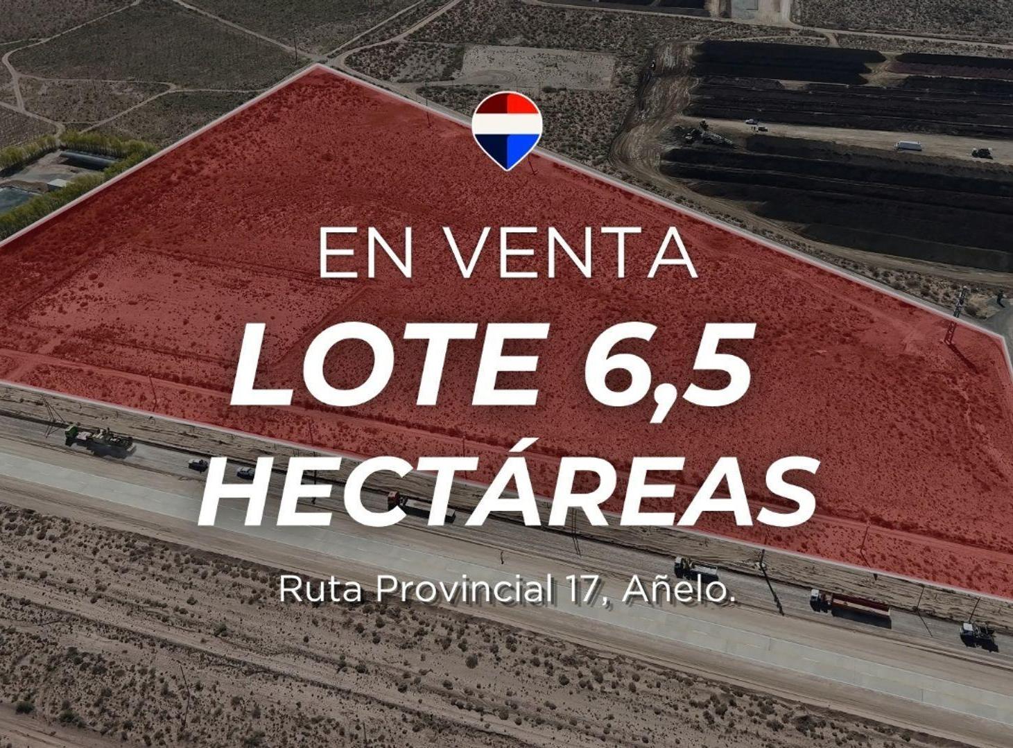 Foto de VENTA LOTE 6.5 HA AÑELO, imagen 3