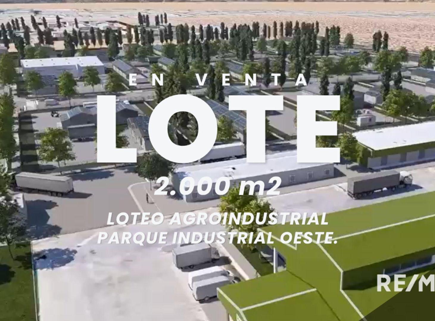 Foto de VENTA LOTE INDUSTRIAL, imagen 1