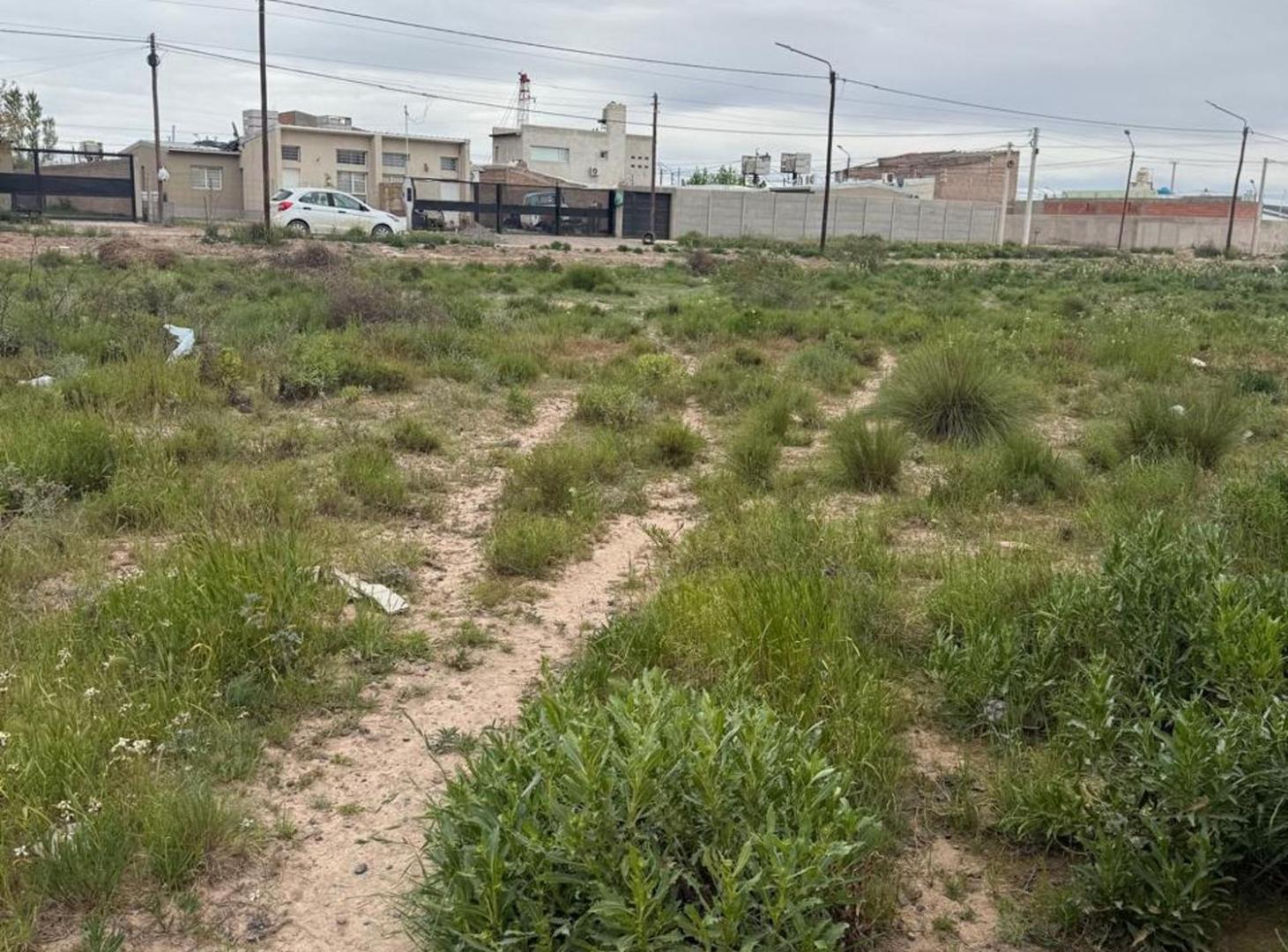 Foto de VENTA TERRENO 300M2, CENTENARIO, imagen 2