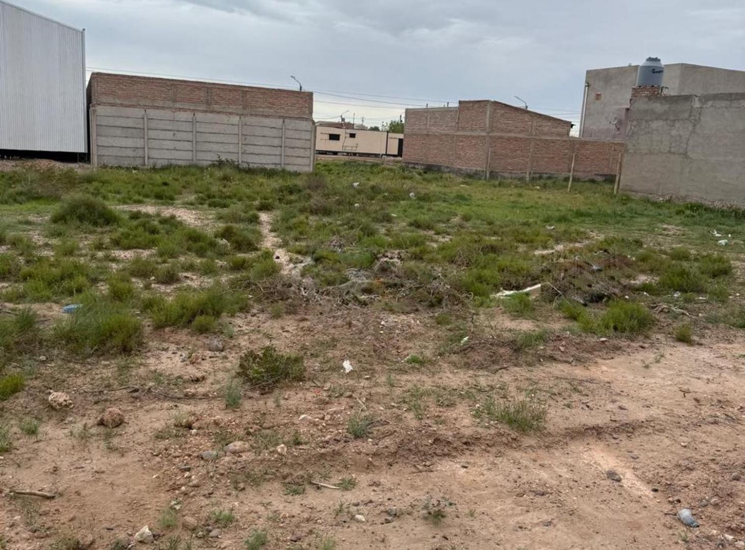 Foto de VENTA TERRENO 300M2, CENTENARIO, imagen 3
