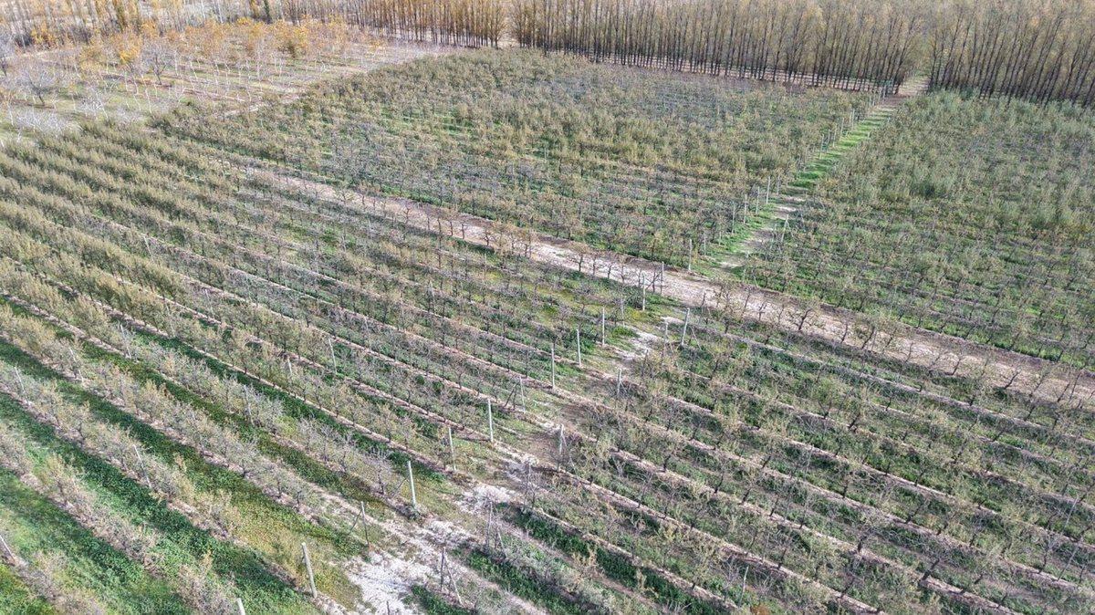 Foto de CHACRA PRODUCTIVA EN VENTA 29HA, imagen 2