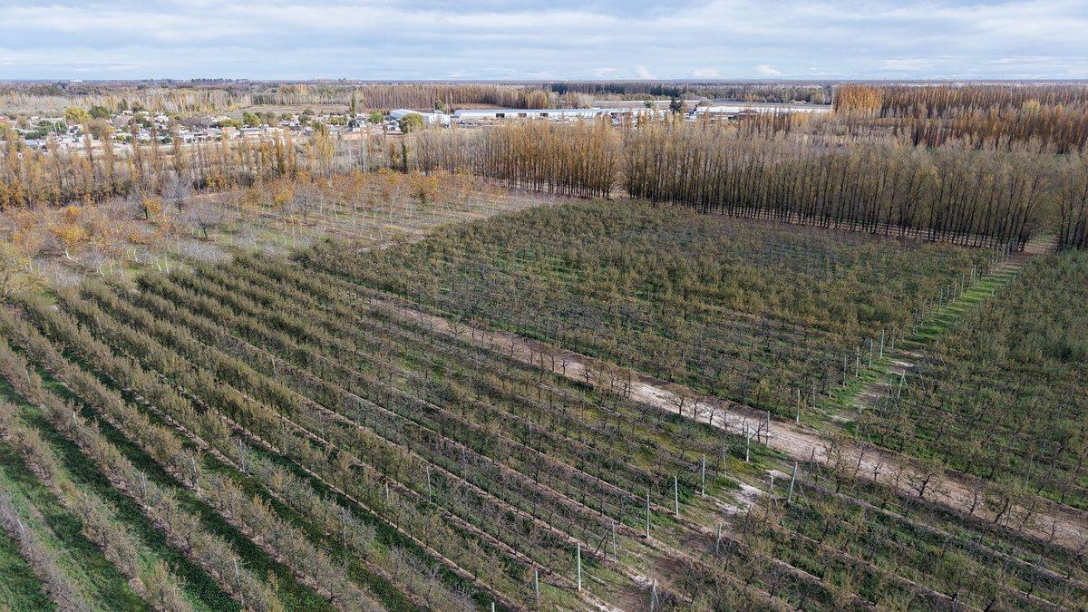 Foto de CHACRA PRODUCTIVA EN VENTA 29HA, imagen 5
