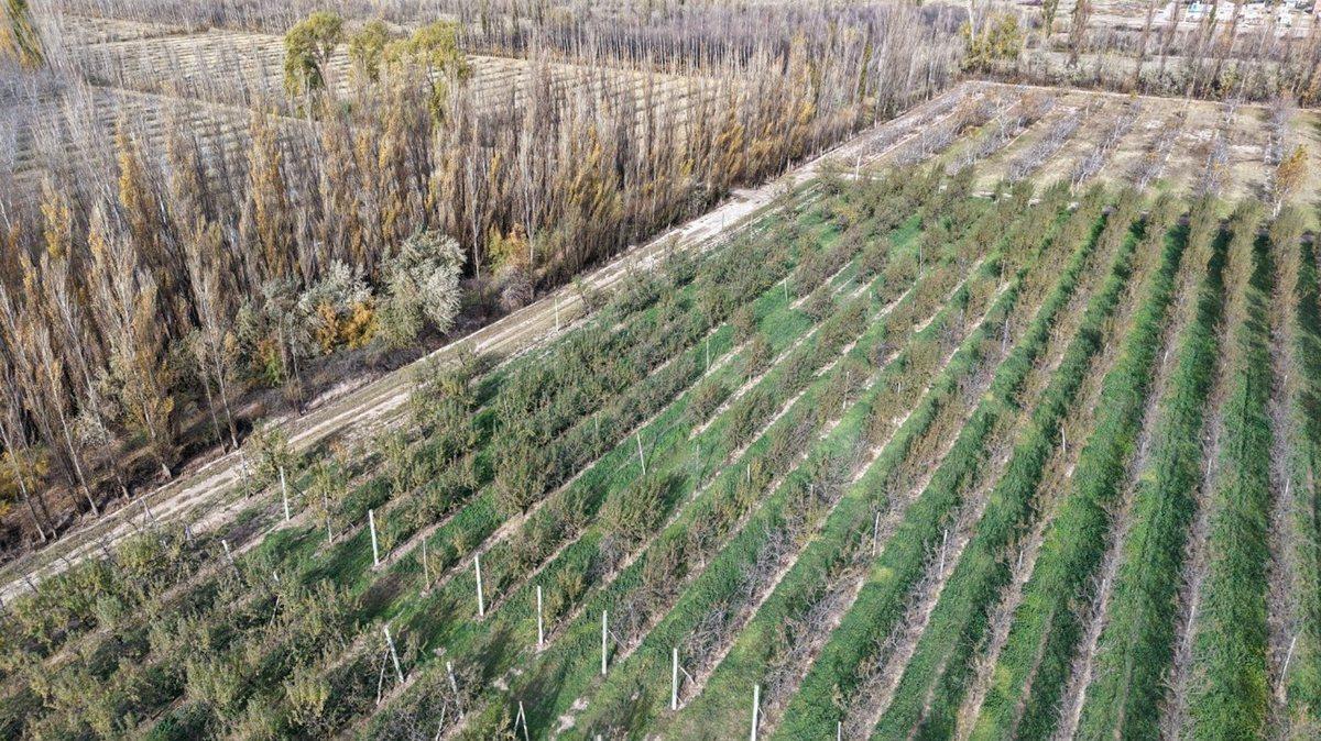 Foto de CHACRA PRODUCTIVA EN VENTA 29HA, imagen 3