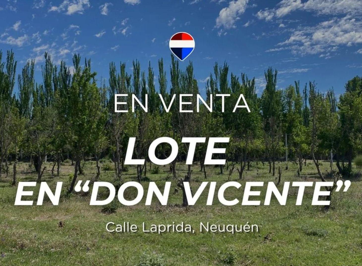 Foto de VENTA LOTE DON VICENTE, imagen 2